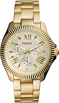 Fossil AM4570
