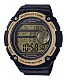 Часы CASIO AE-3000W-9A