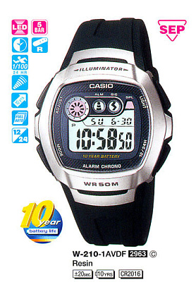 Часы CASIO W-210-1A