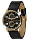 GUARDO Premium 011097(1)-3 мужские кварцевые часы