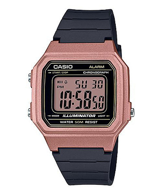Часы CASIO W-217HM-5A